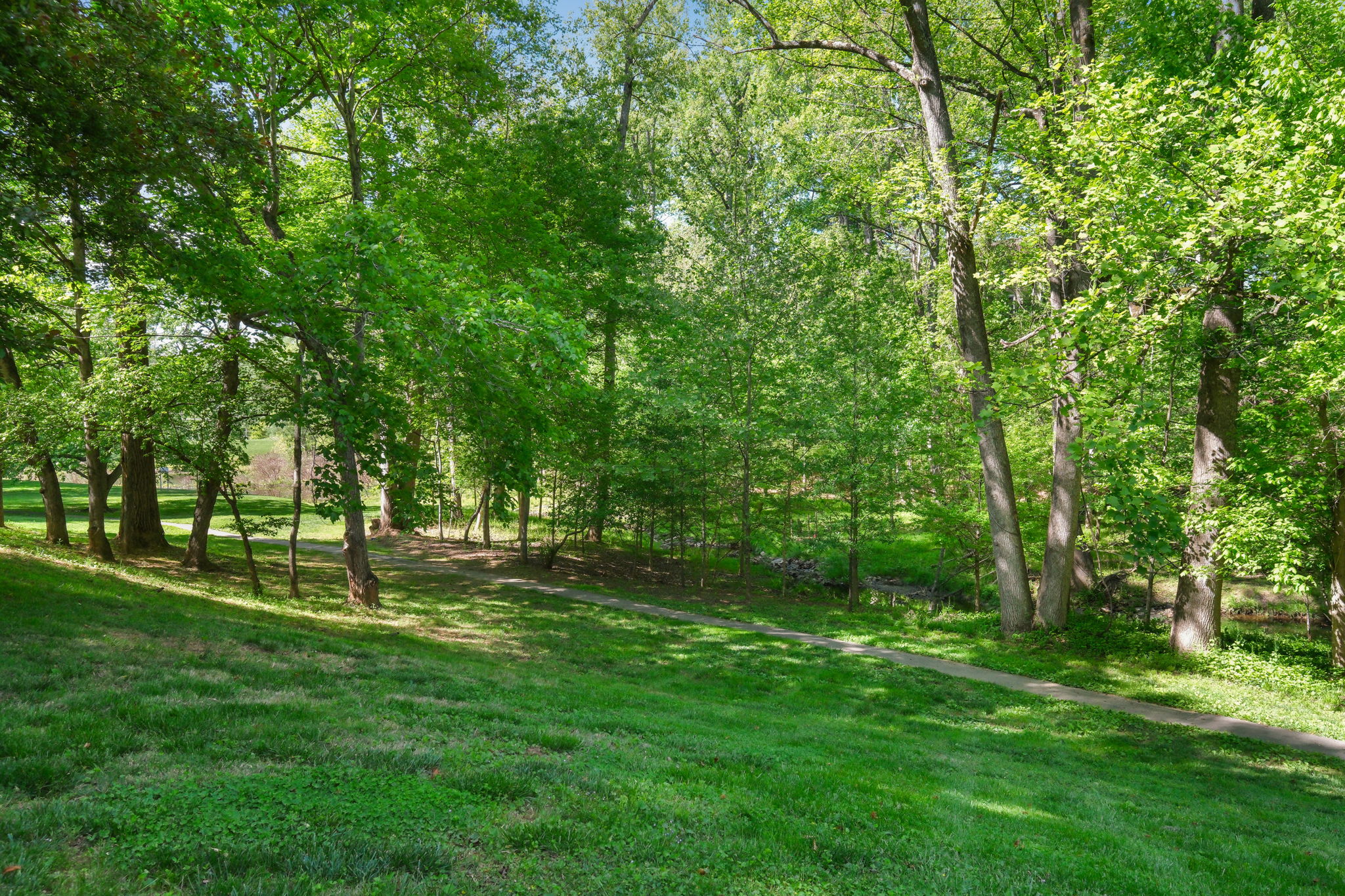 9437 Reach Rd, Potomac, MD 20854, USA Photo 57