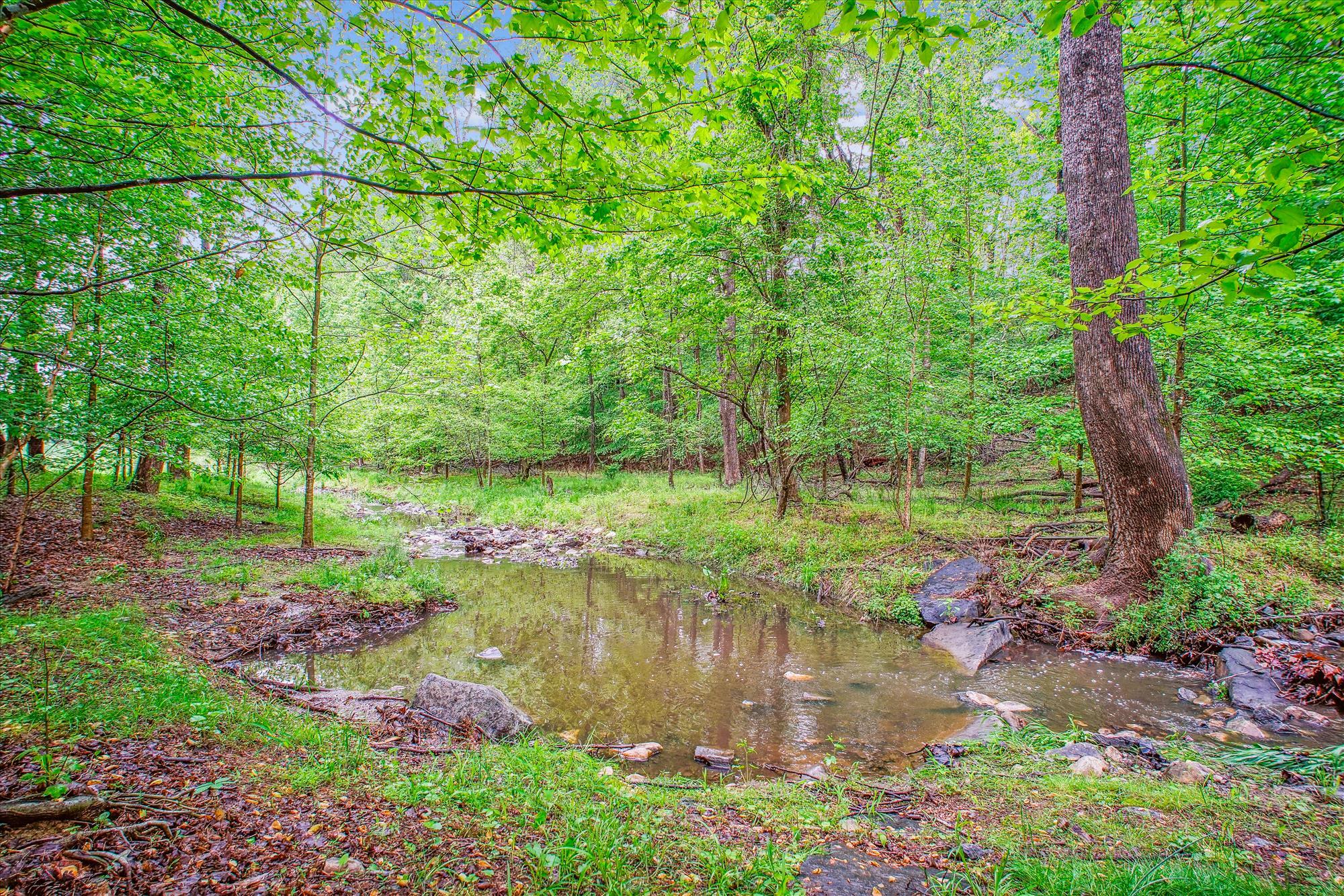 9437 Reach Rd, Potomac, MD 20854, USA Photo 53