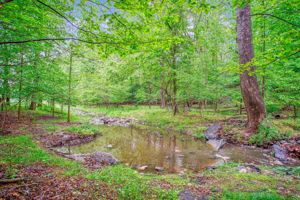 9437 Reach Rd, Potomac, MD 20854, USA Photo 52