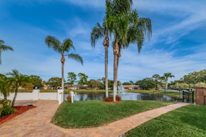 25-Walkway and Pond View