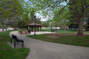  Photo 43