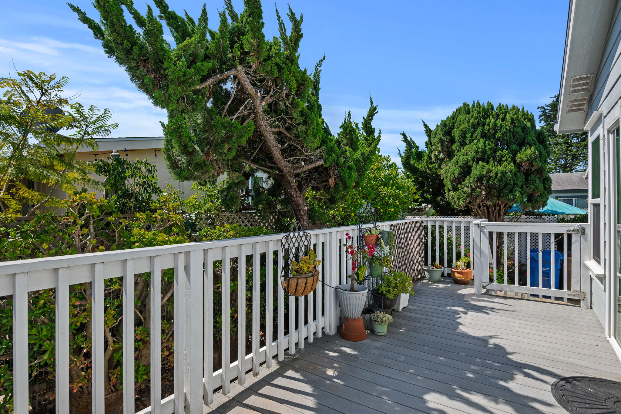 14-Deck