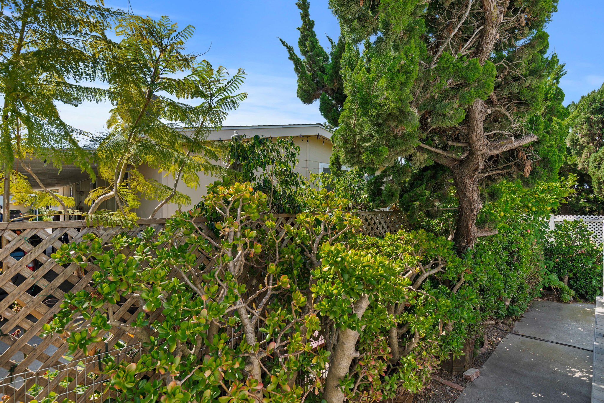 16-Back Yard