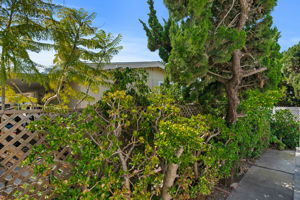 16-Back Yard