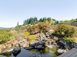 Koi Pond