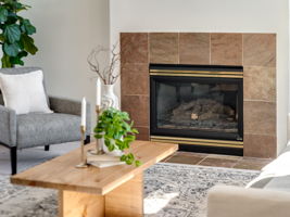 Fireplace Detail