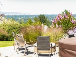 Patio View