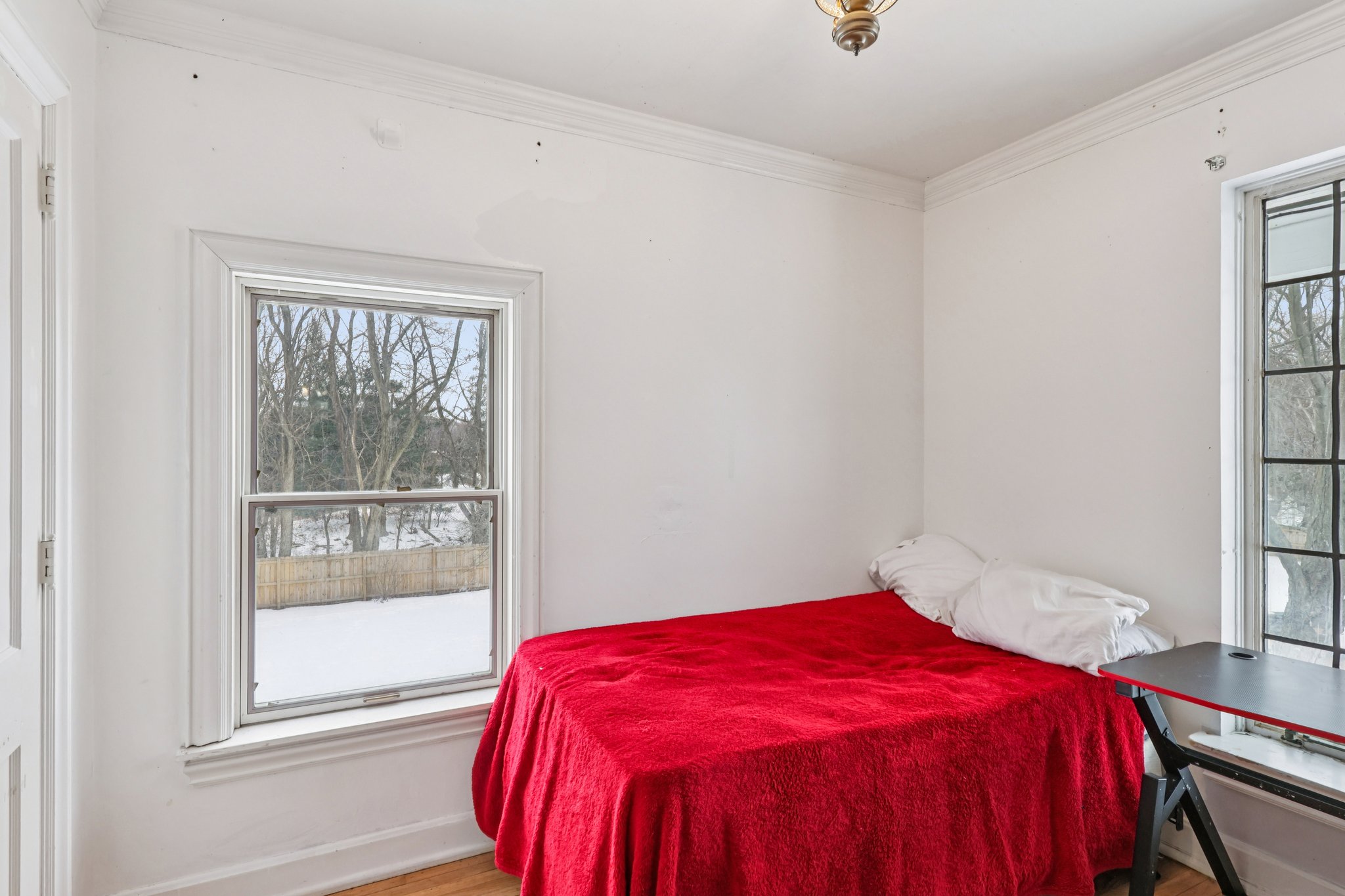 Whalers Cv-S1202-024.jpg