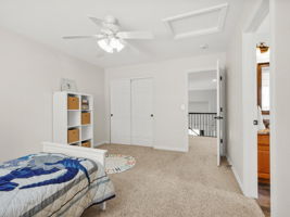  Photo 48