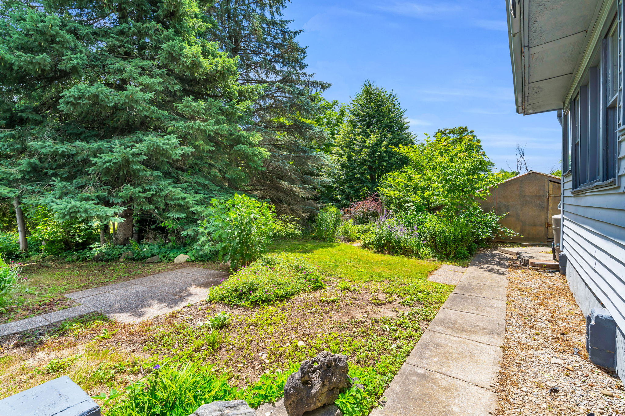 Backyard