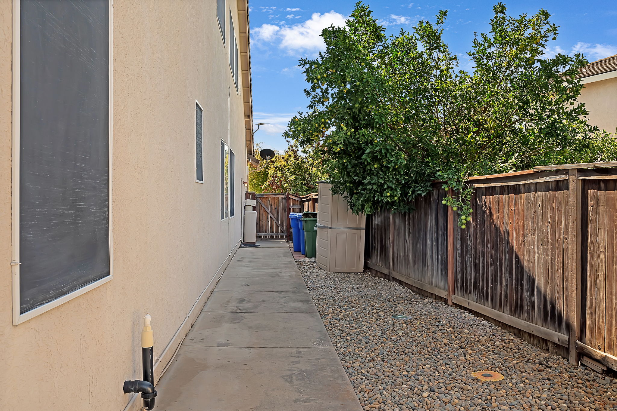  Photo 47