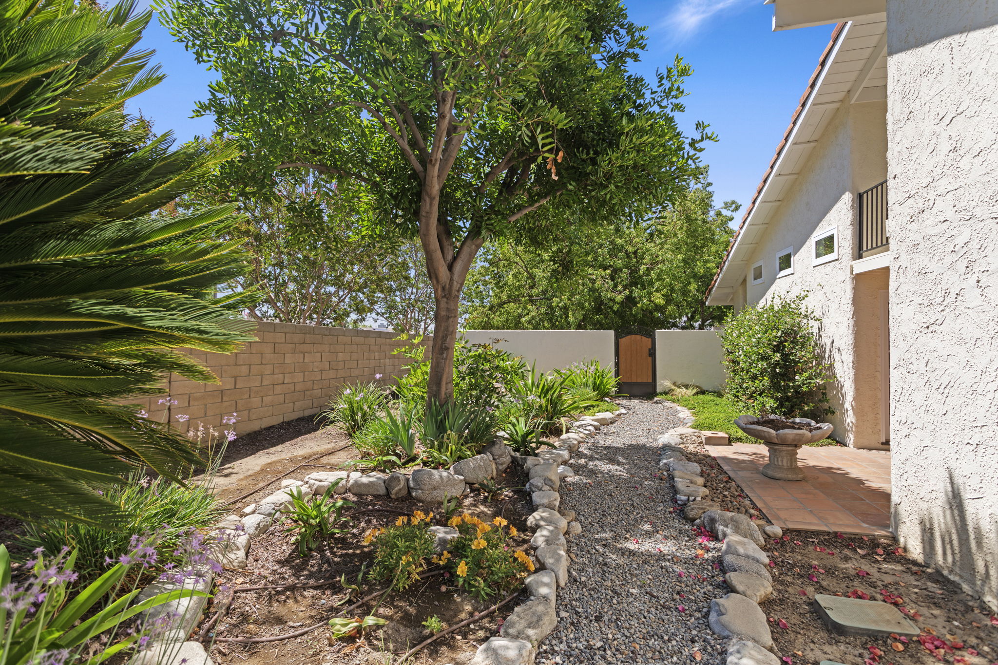 Side Yard Garden