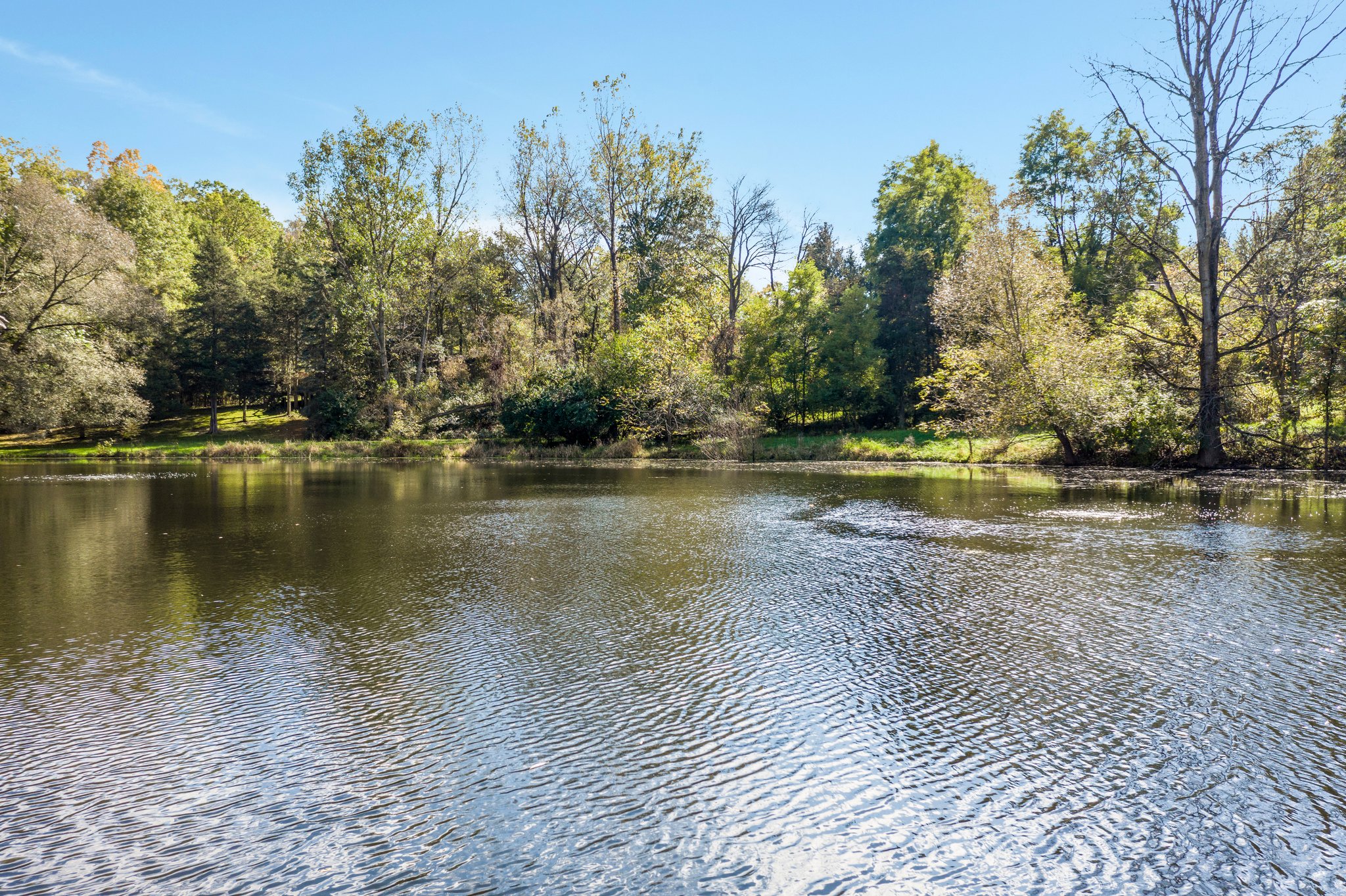 9490 Scully Rd, Whitmore Lake, MI 48189, USA Photo 40