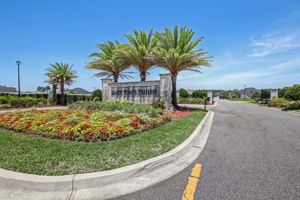Sandy Pointe Preserve