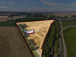  Photo 54
