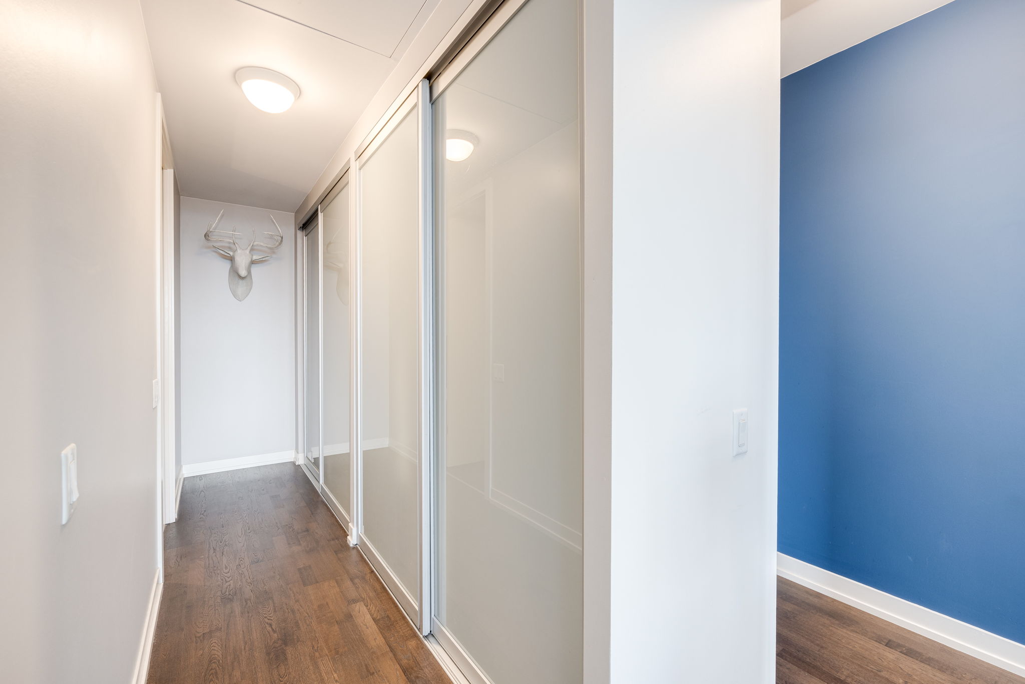 Toronto property showcase — delivered property photograph 31
