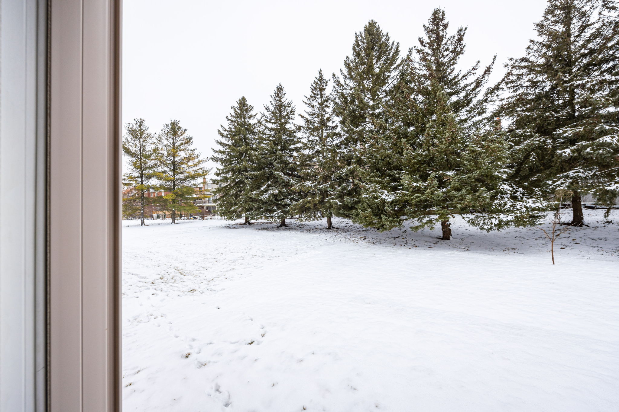 Newmarket property showcase — delivered property photograph 58