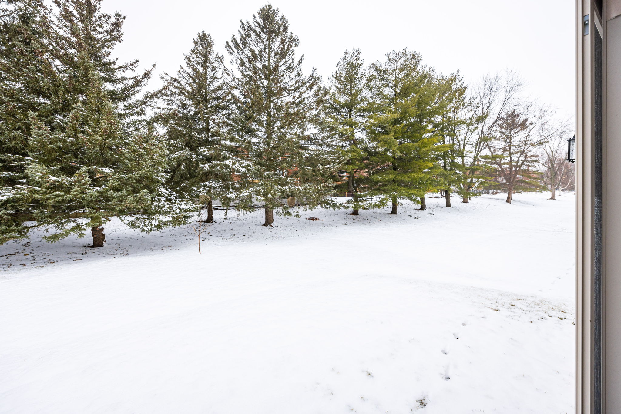 Newmarket property showcase — delivered property photograph 59