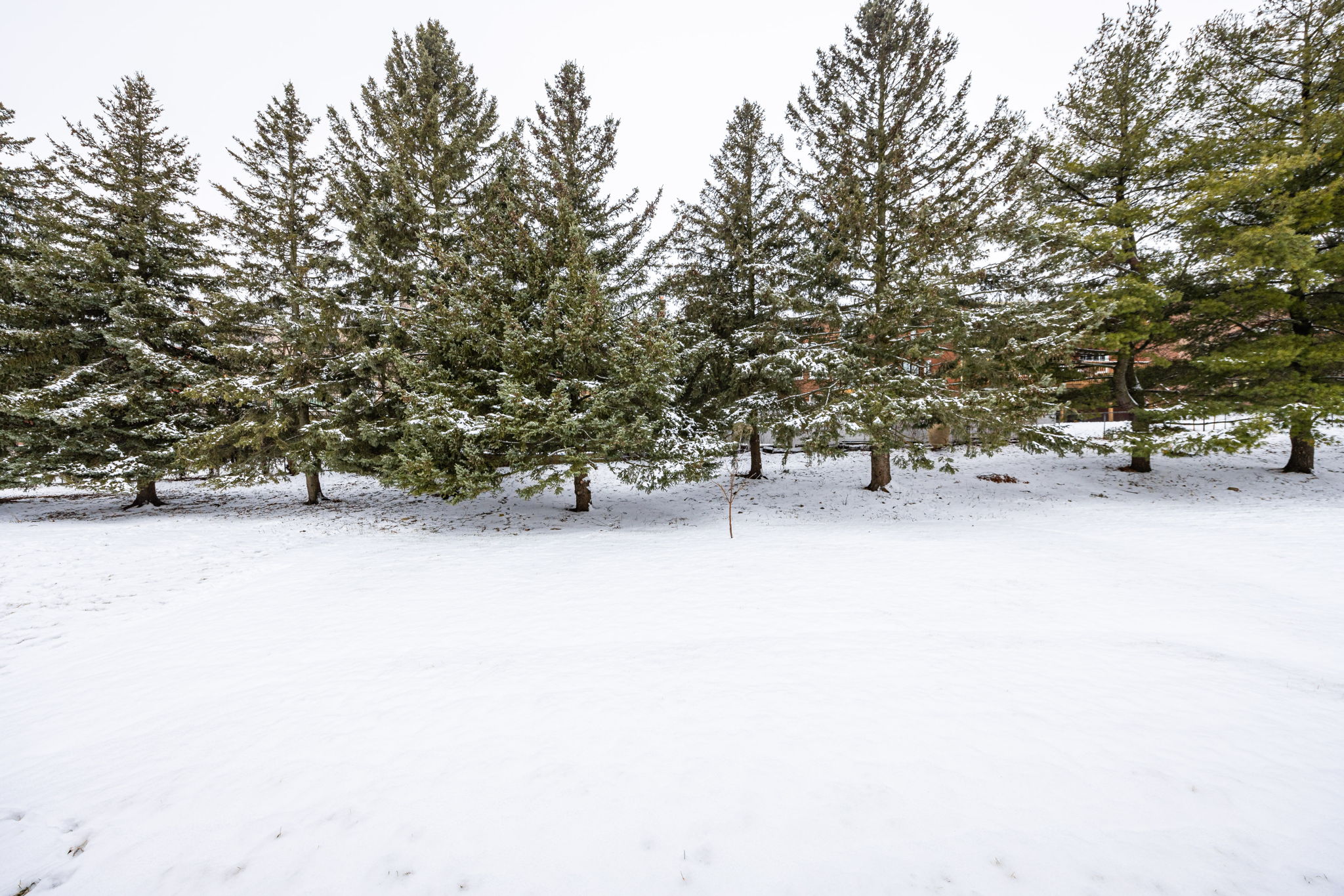 Newmarket property showcase — delivered property photograph 57