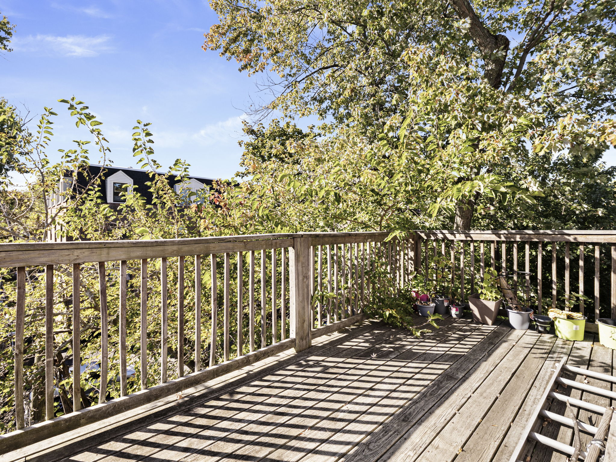 95 Florida St 1 & 3 Boston MA 39