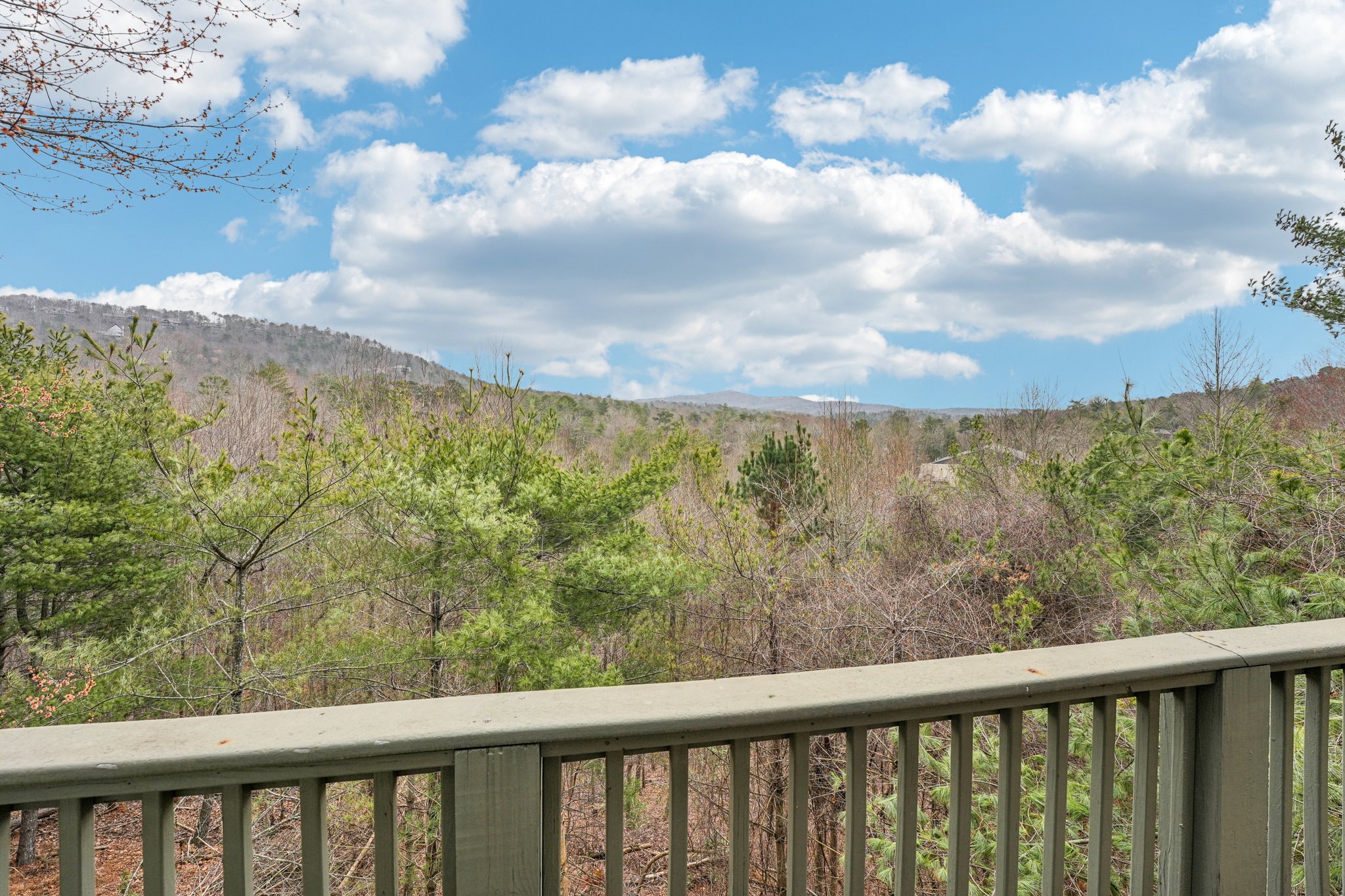 Laurel Ridge Trl-S0403-058.jpg