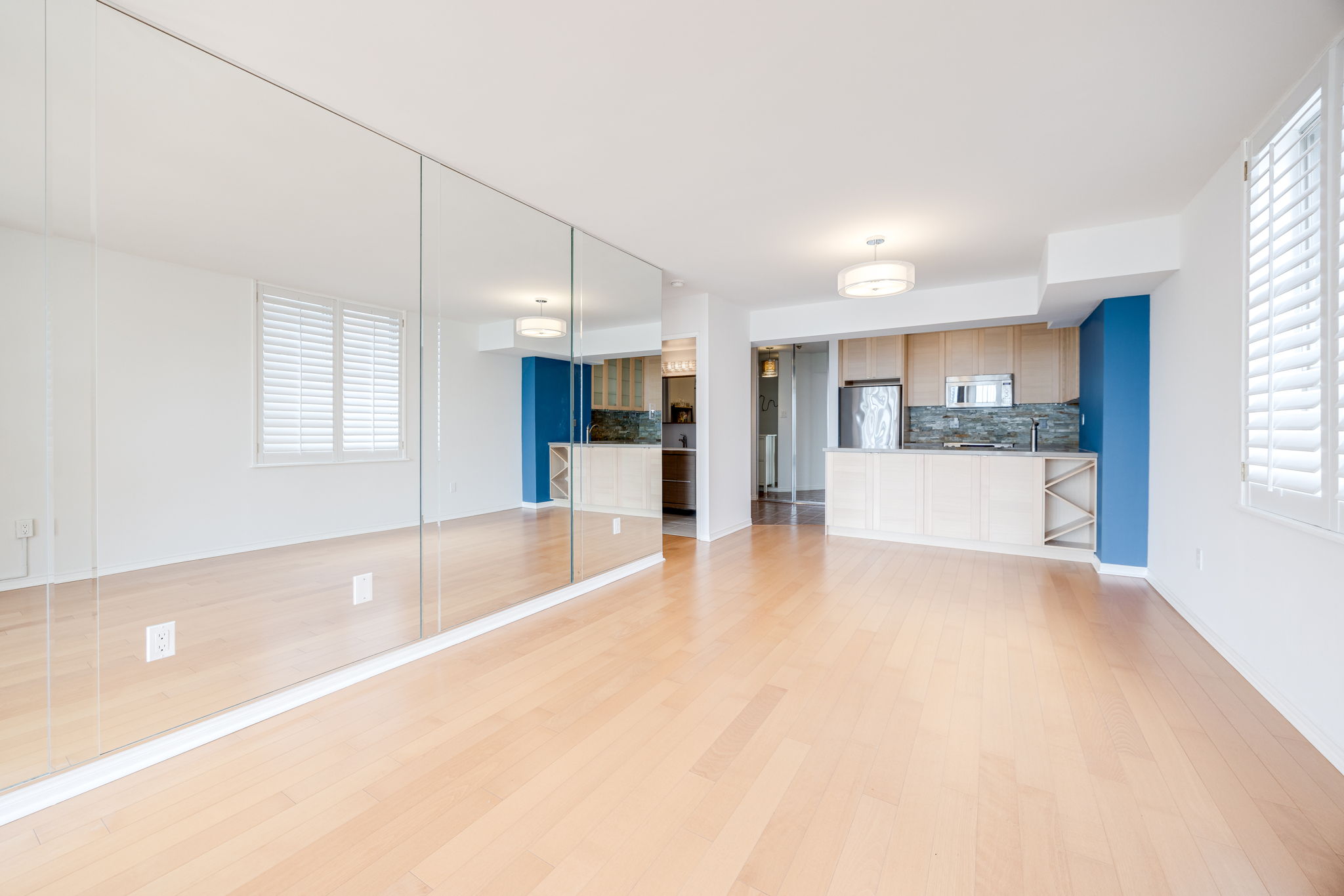 Toronto property showcase — delivered property photograph 11