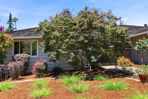 006_F8_950 Black Mountain Ct