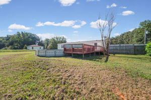  Photo 45