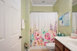  Photo 47