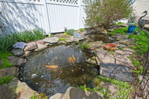  Photo 51