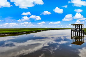 River View