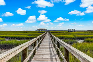 Boat Dock