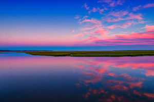 Twilight