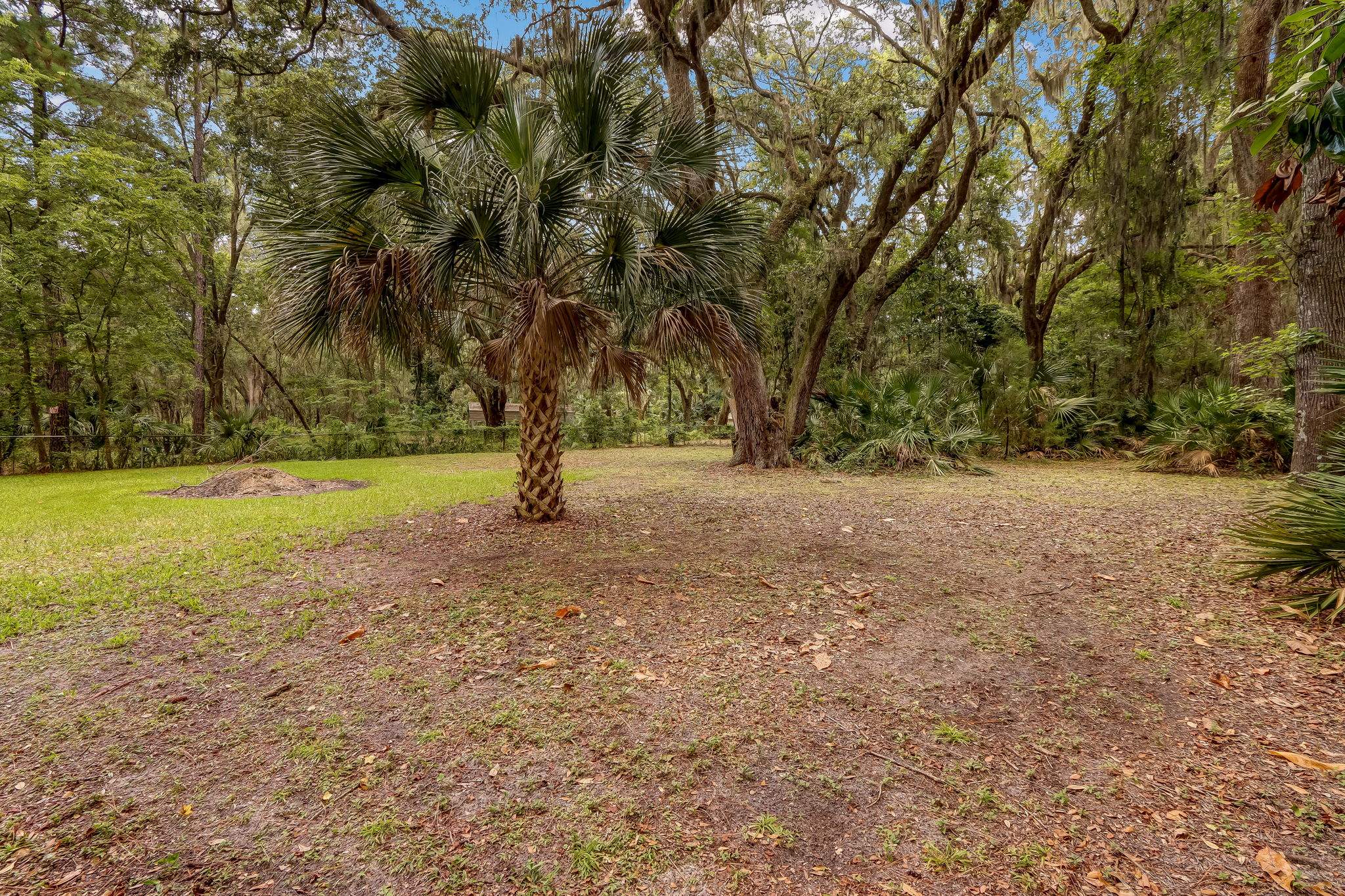 Front Yard