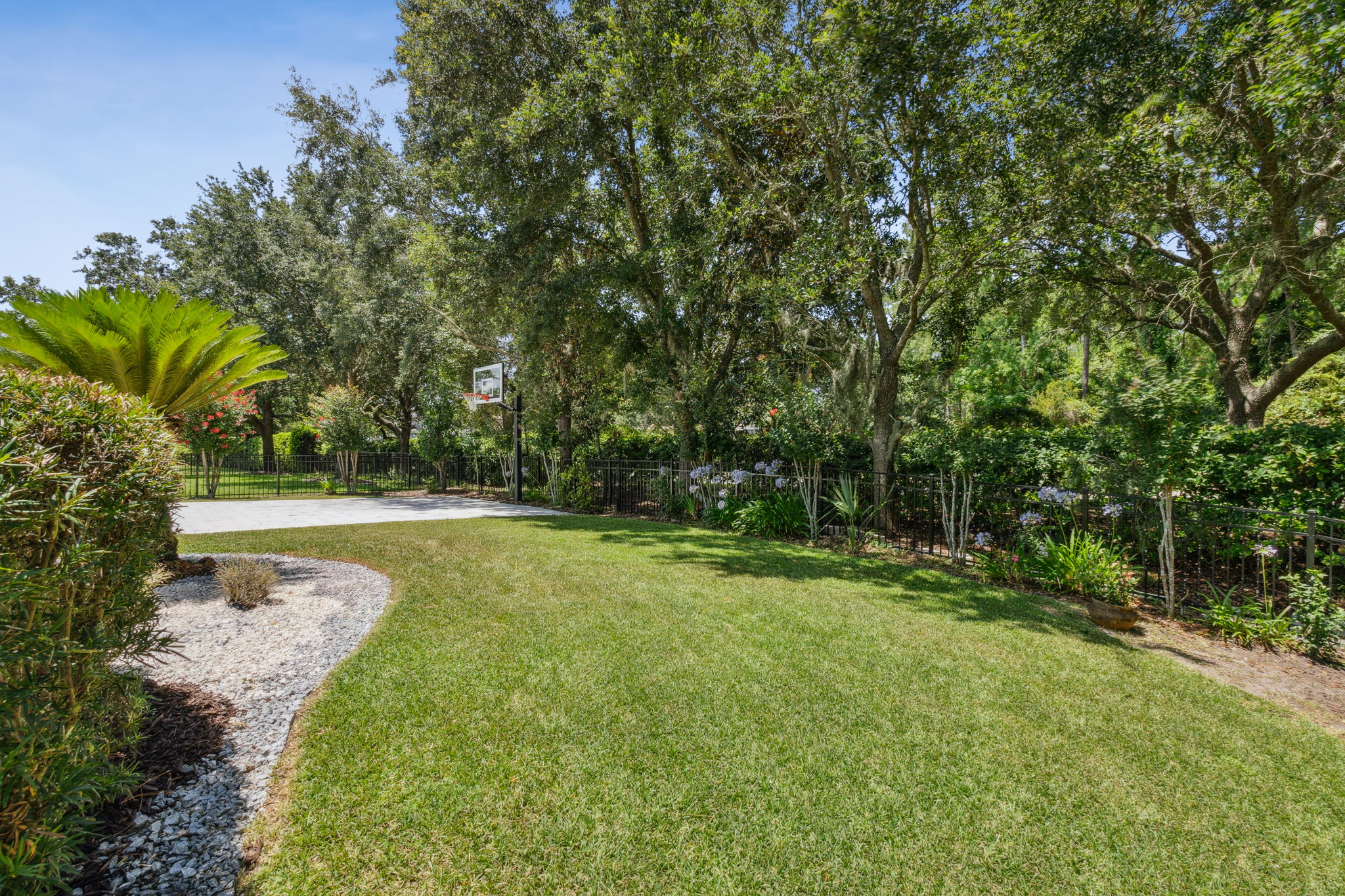 Backyard