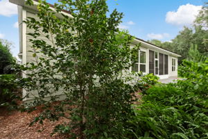 Back of Home
