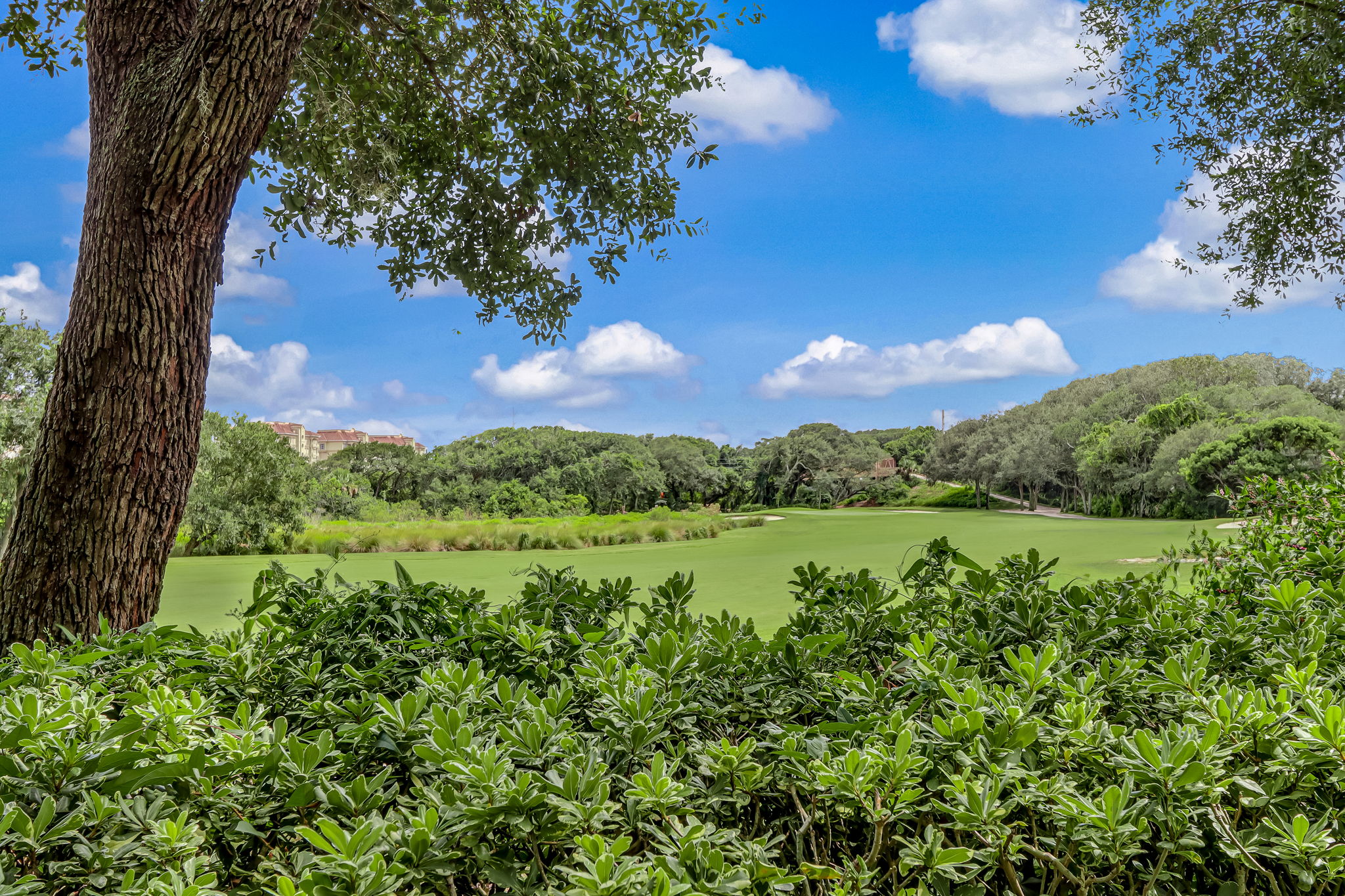 Golf Course View