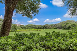 Golf Course View