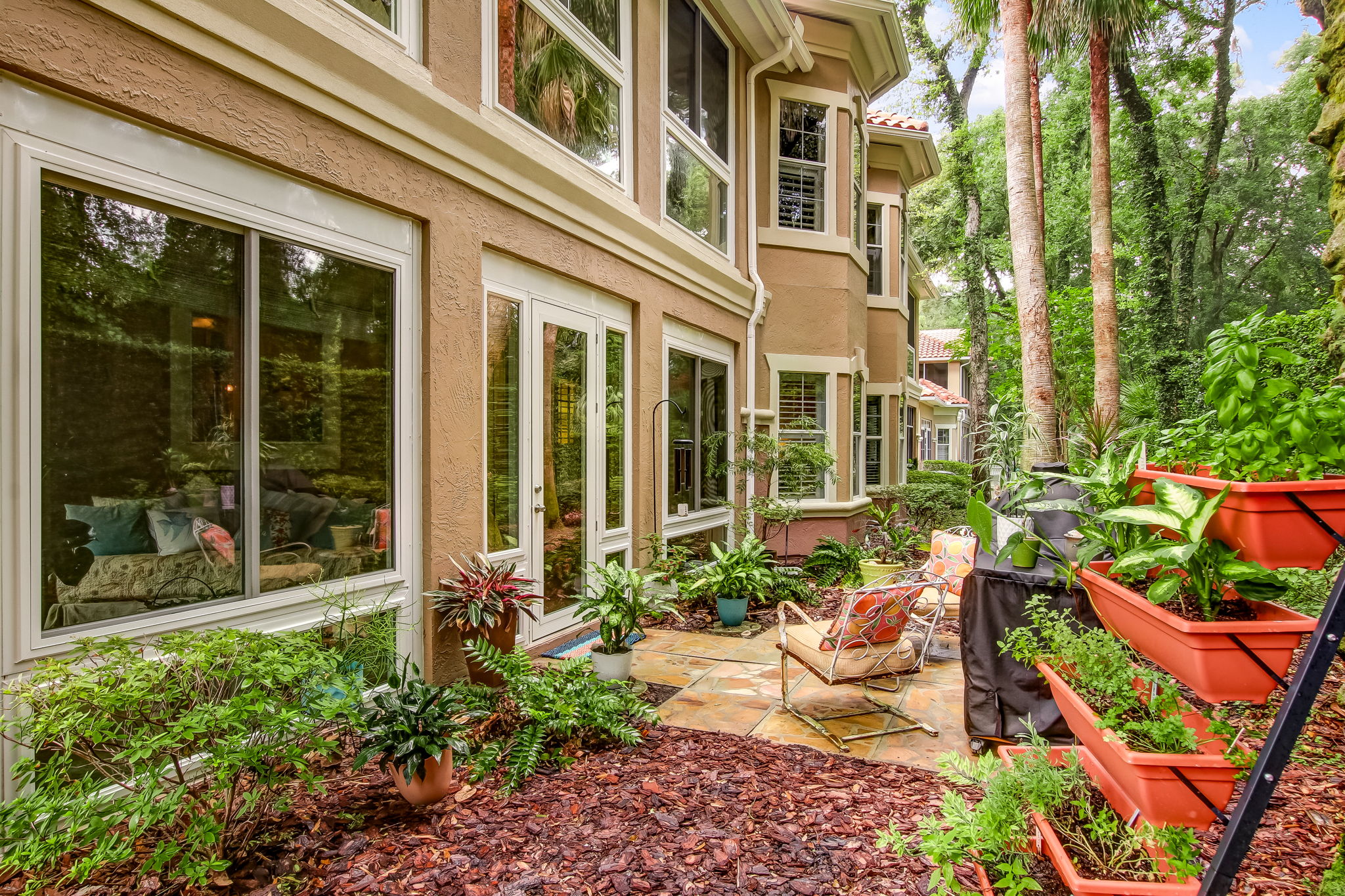 Backyard
