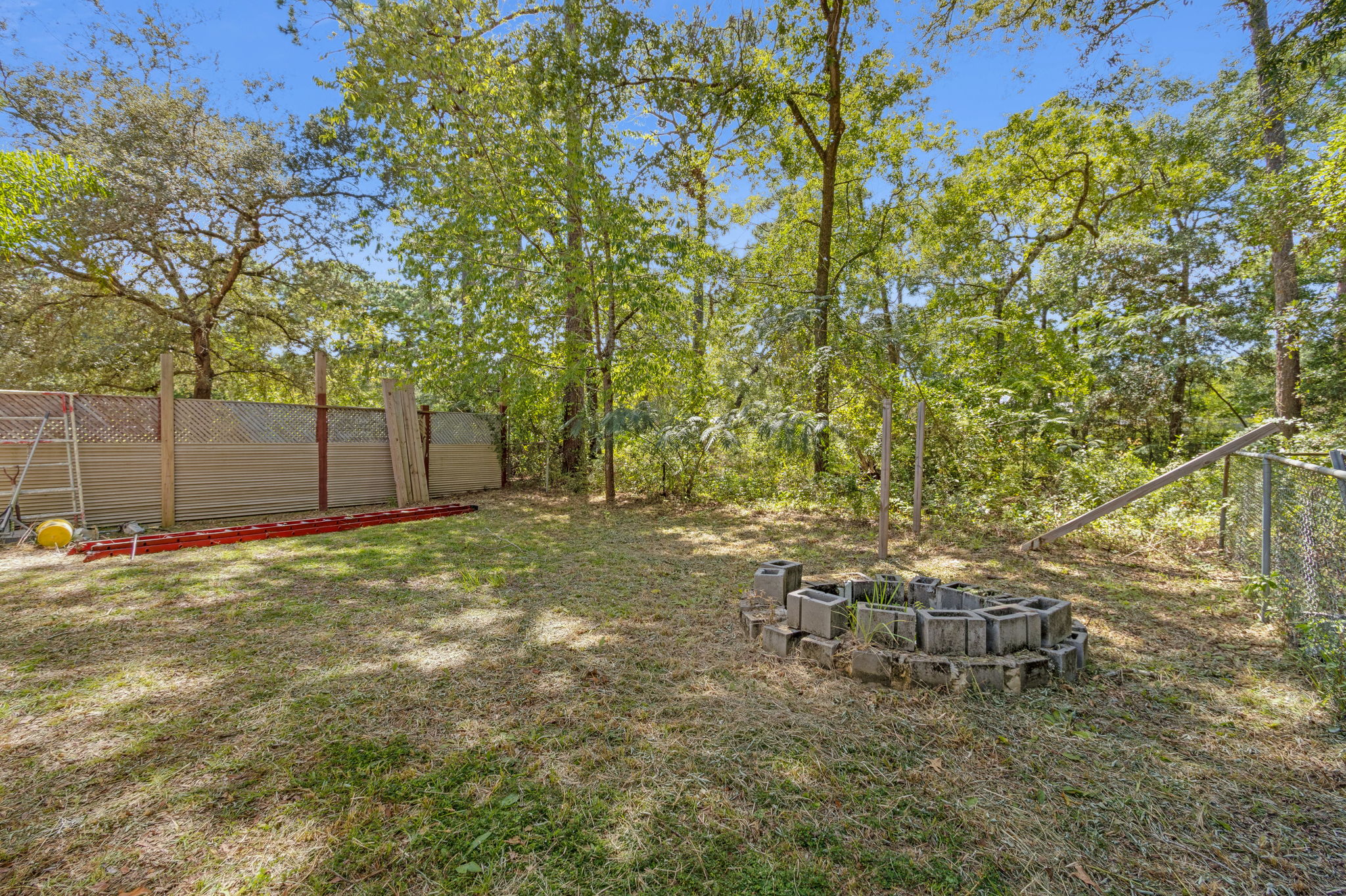 Backyard