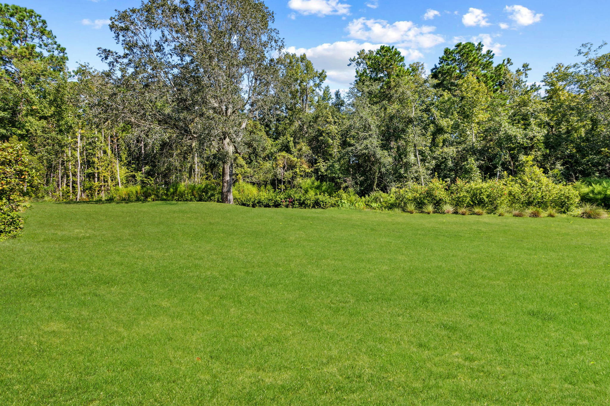 ...frame by woodlands and coastal vegetation