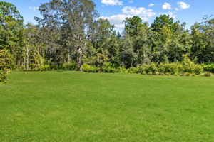 ...frame by woodlands and coastal vegetation