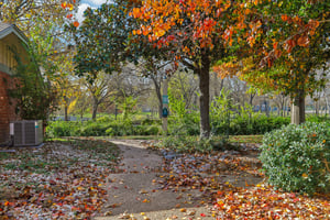 Quail Village Ln-S2212-011.jpg