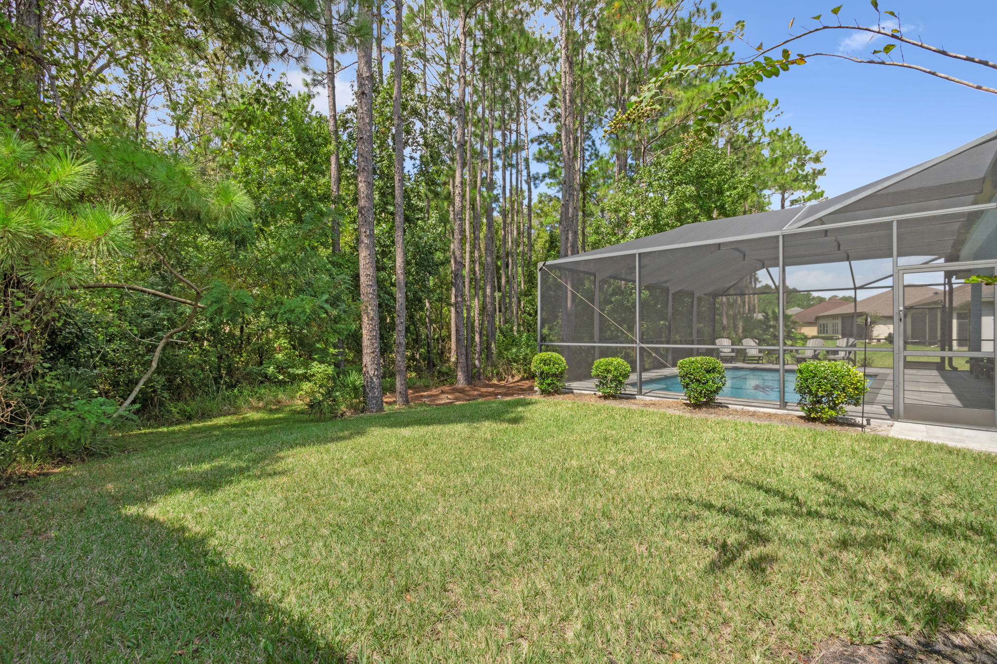 Backyard