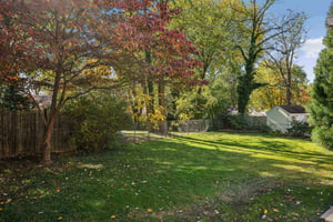 WMG_9152.jpg