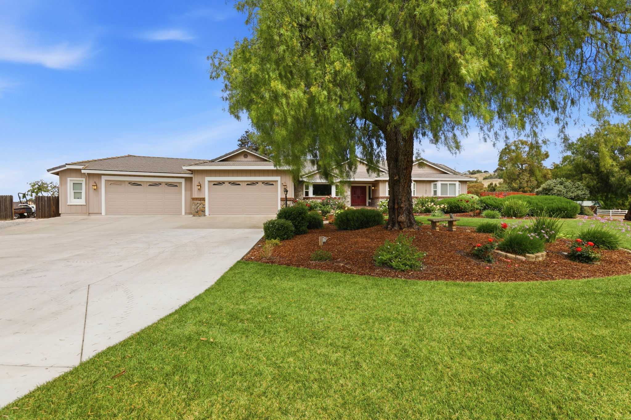 001_F8_9508 Sugar Babe