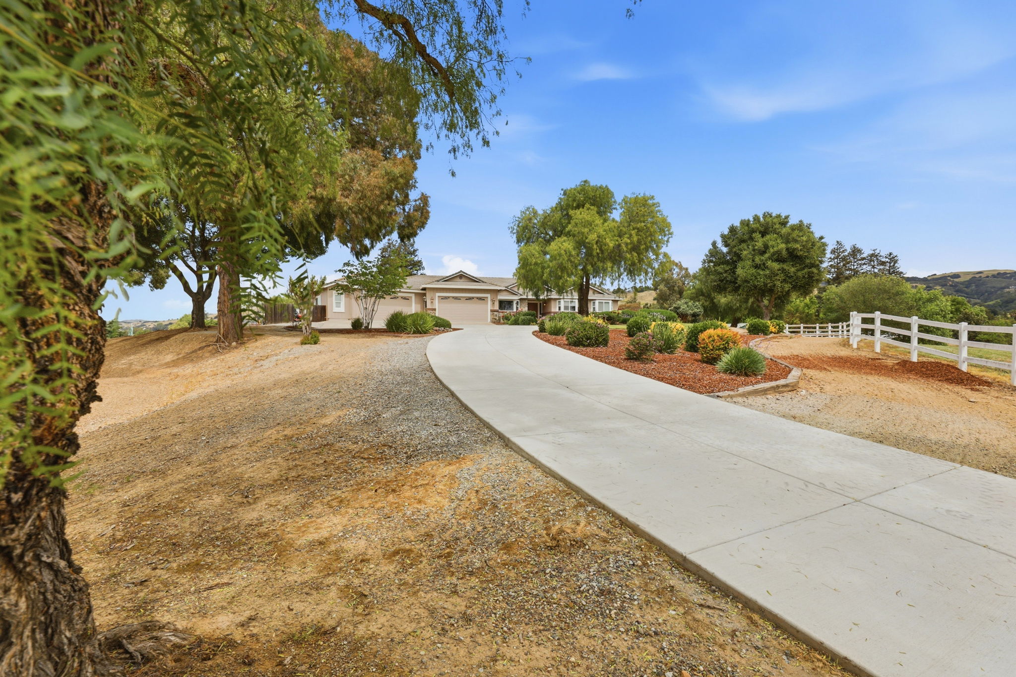 002_F8_9508 Sugar Babe