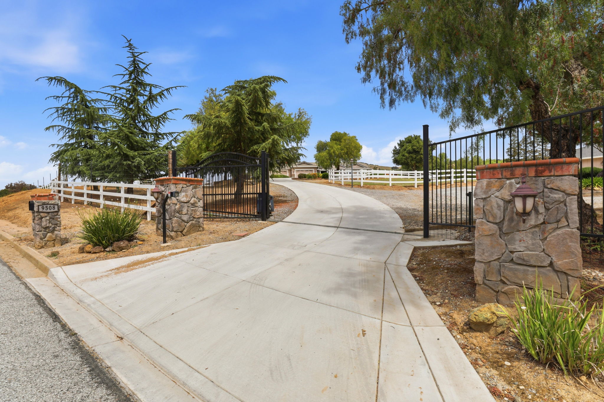 003_F8_9508 Sugar Babe