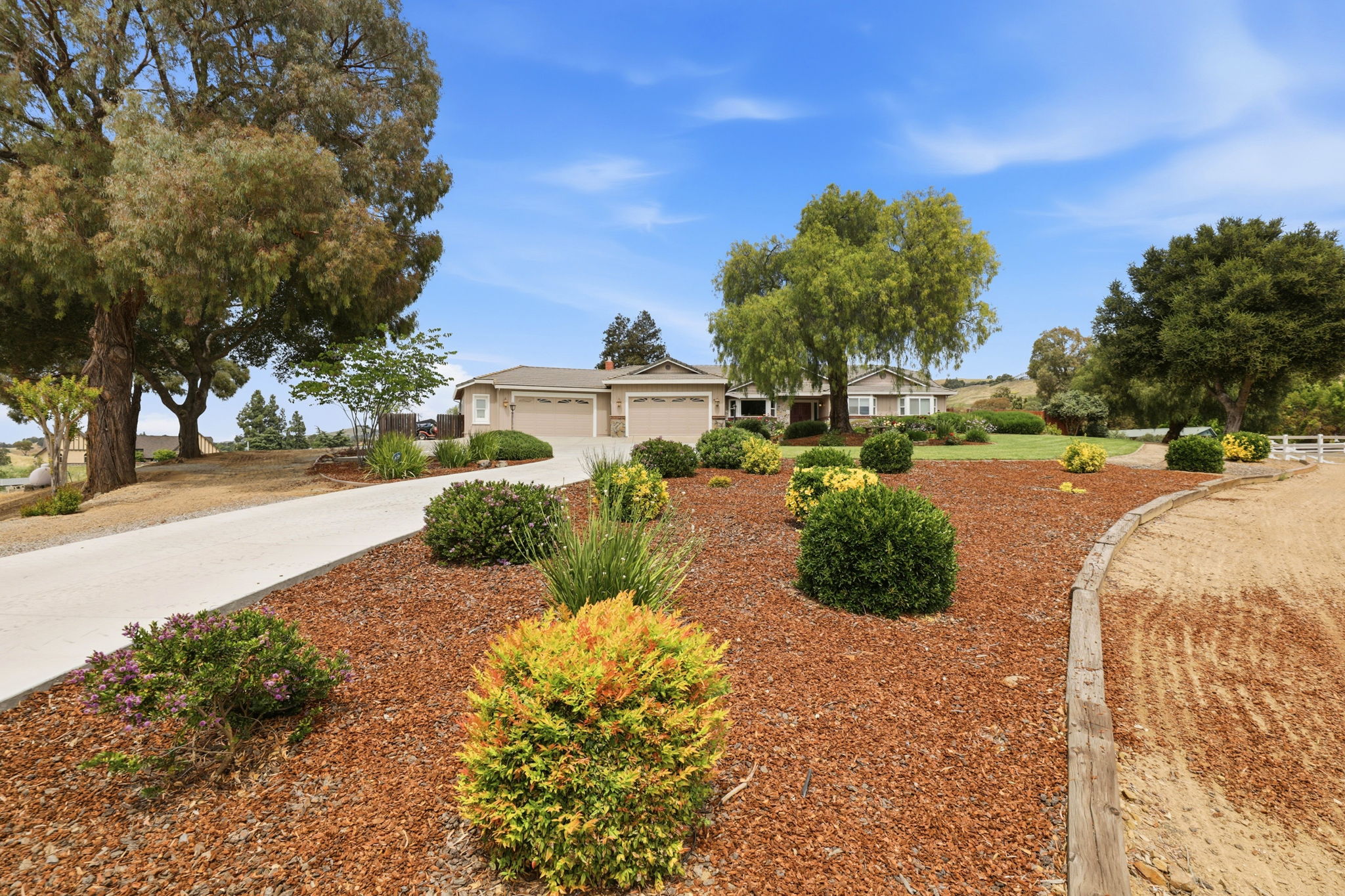 004_F8_9508 Sugar Babe