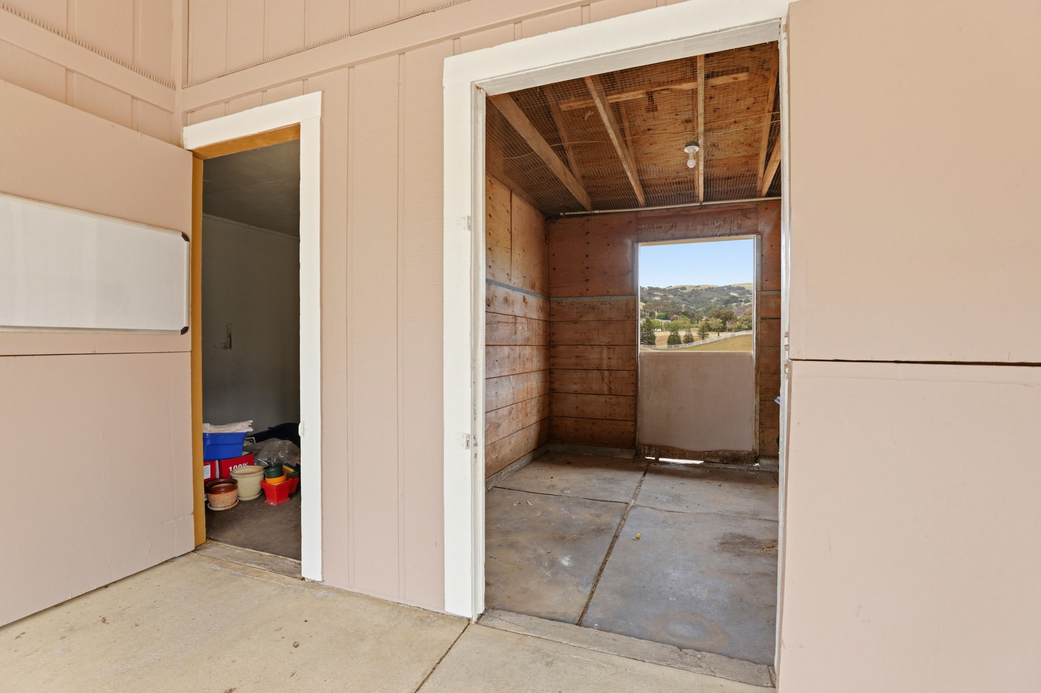 038_F8_9508 Sugar Babe